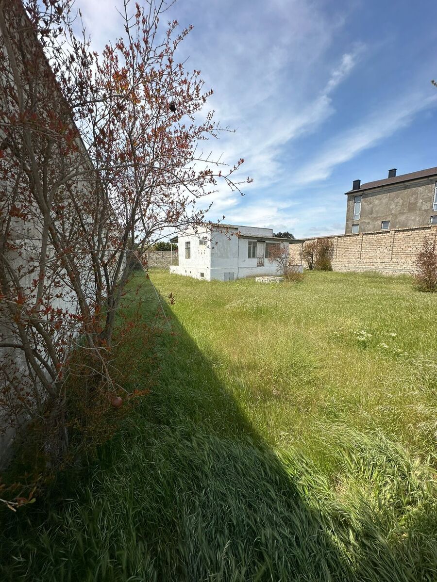 2067372